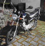 Yamaha YBR 125 - Offers matching your search criteria
