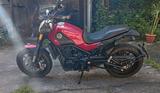 Benelli Leoncino  - BENELLI LEONCINO