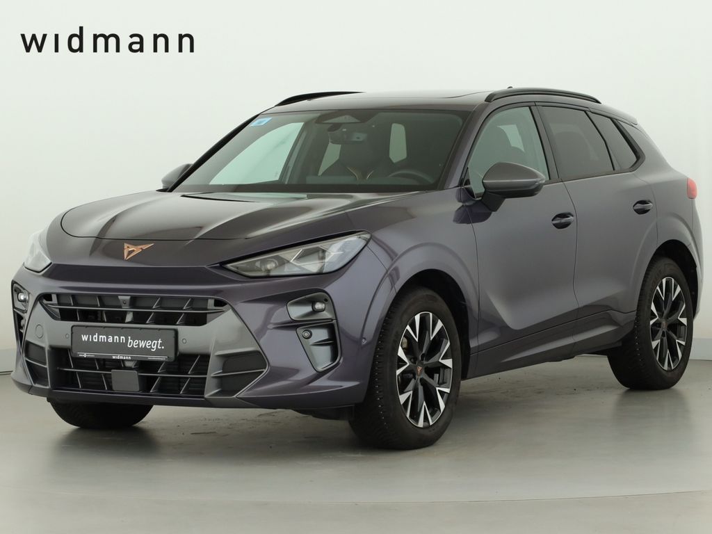 Image of Cupra Terramar