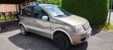 Fiat Panda MultiJet 4x4, Baujahr 2007, TÜV... - Fiat Panda mit Diesel-Antrieb