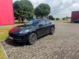 Porsche Macan GTS Panorama Sound LED Kamera Sport Chrono - Porsche: Panorama