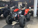 Can-Am ATV DS 250 - CAN-AM DS