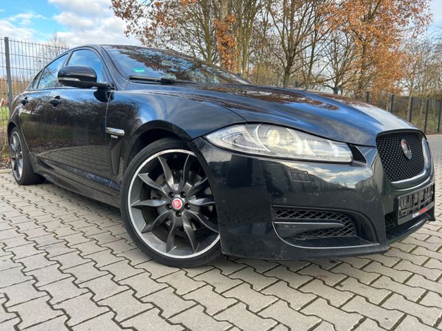 Jaguar XF 3.0 V6 R-SPORT MEMORY TEMPO KAMERA 20 ZOLL