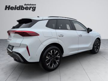 Cupra Terramar - 9