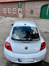 Volkswagen Beetle 1.4 TSI BMT CUP CUP - Volkswagen Beetle