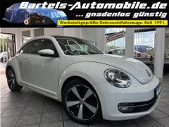VW New Beetle