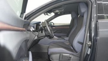 Cupra Terramar - 10