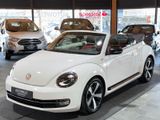 Volkswagen Beetle Cabriolet 60´s Sport DSG - Volkswagen Beetle: Weiß