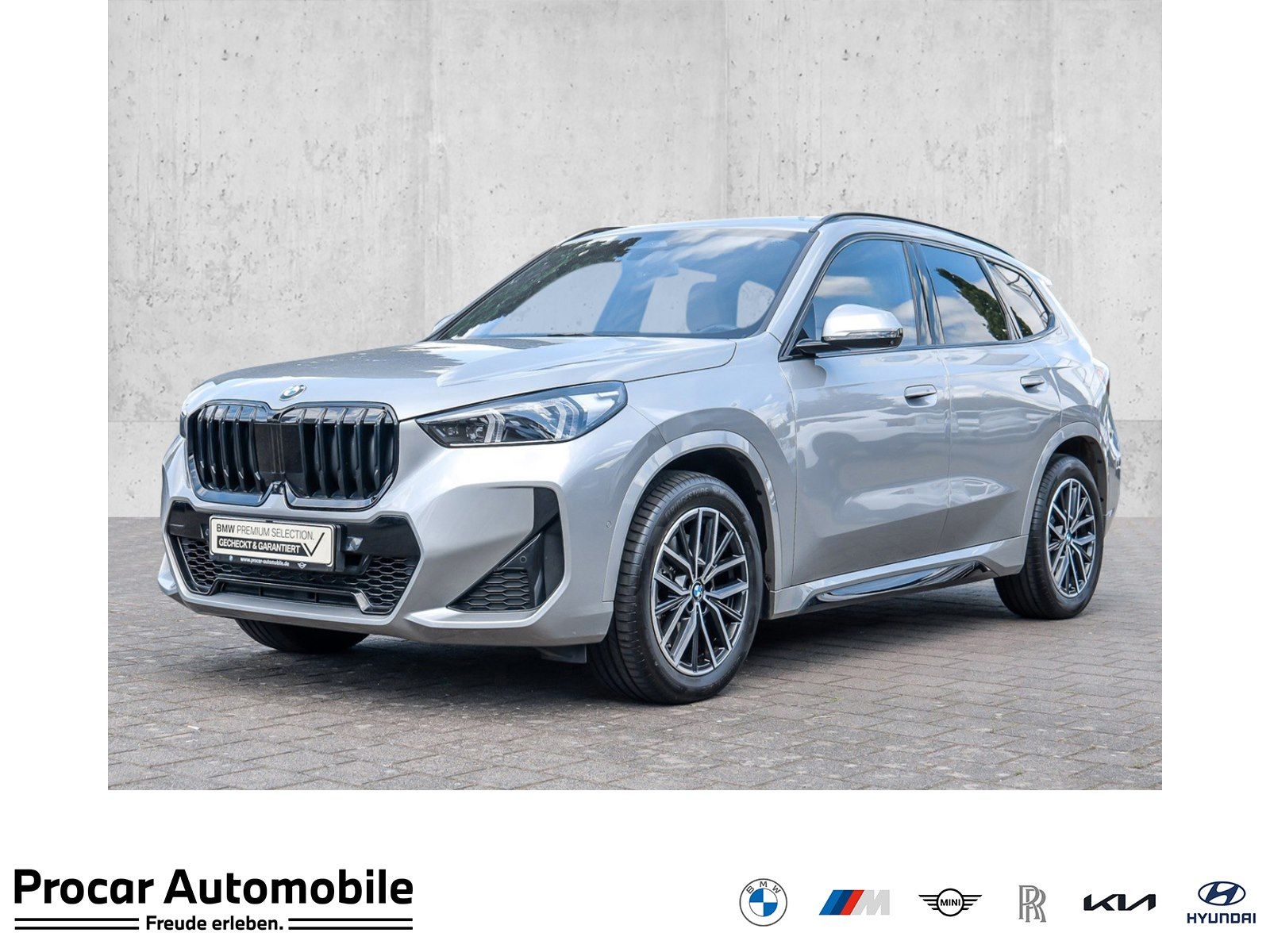 BMW X1 xDrive23i M Sport HUD RFK NAVI LED PDC V H