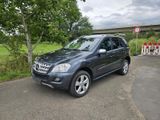 Mercedes-Benz Mercedes ML 350 W164 in sehr gutem  Zustan... - Mercedes-Benz ML 350 aus 2009
