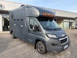 Peugeot Boxer MSG Pferdetransporter Hengstausstattung - 4x4