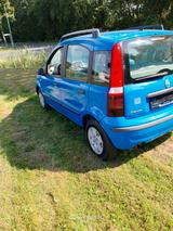 Fiat Panda 1.2 8V TÜV Neu Ganzjahresreifen Neu - gebrauchte Fiat Panda aus dem Jahr 2006