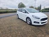Ford S-Max SPORT Bi-Turbo Klimaauto Kamera SHZ 7-Sitz - Ford: Ka Sport