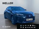Lexus UX 250h F SPORT Design *Bi-LED*ACC*RCam*SHZ*PDC* - Lexus aus 2023