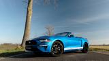 Ford Mustang 2.3  HighPerformance 2.3L 330 Ps !!! - gebrauchte Ford Mustang aus dem Jahr 2021