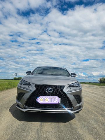 LEXUS NX 300