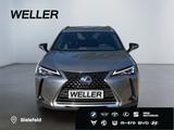 Lexus UX 250h Style Edition *Bi-LED*ACC*CAM*SHZ*CarPla - silberne Lexus UX