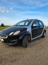 Smart ForFour 1,3 pure pure - smart forfour pure mit Benzin-Antrieb