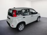 Fiat Panda 1.0 GSE /RADIO/KLIMA/PDC H/DAB - gebrauchte Fiat Panda aus dem Jahr 2024