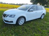 Skoda Octavia 1.6 TDI Drive Combi AHK ATS-Felgen
