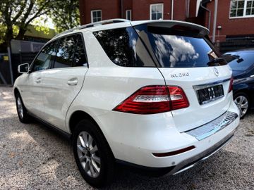 Mercedes ML 250 - 10