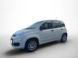 Fiat Panda Easy 69PS 5-Gang Schaltgetriebe - Fiat Panda EASY mit Benzin-Antrieb