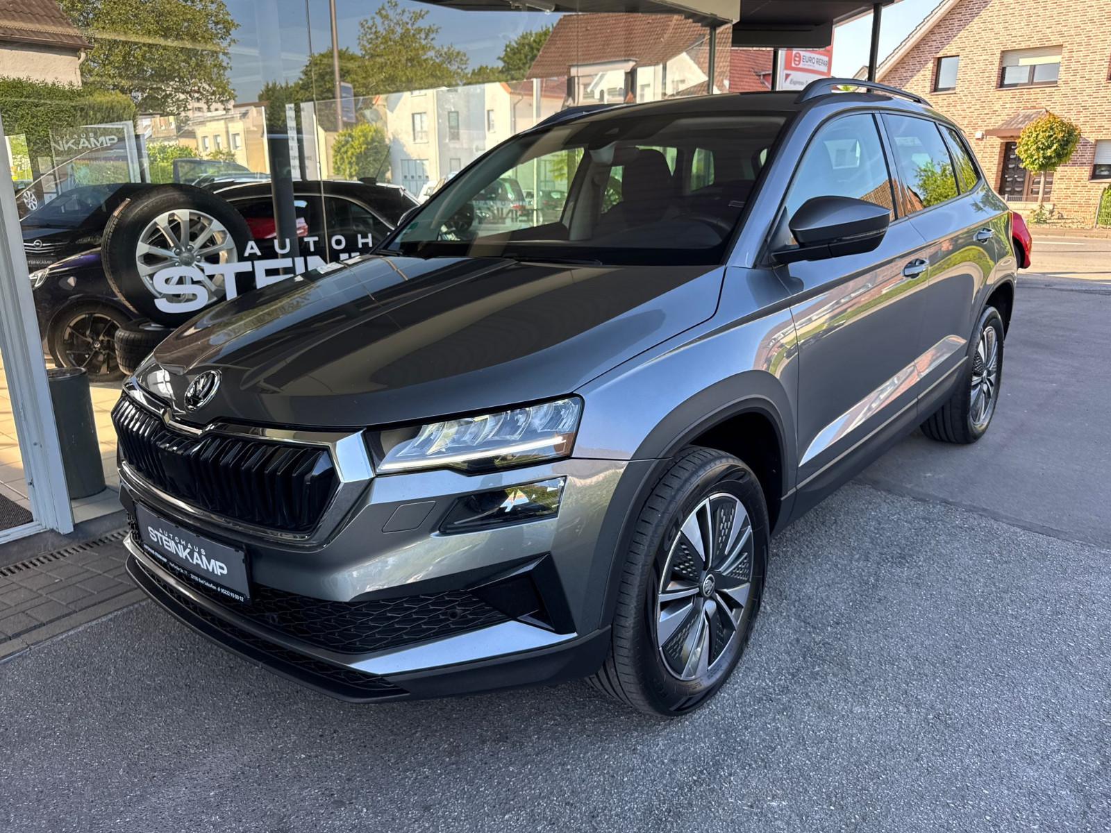 Skoda Karoq 2.0 TDI DSG Tour 4x4 * LED * Keyless * ACC