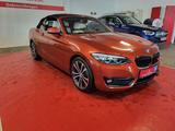 BMW 230 i Cabrio Sport Line //LED//DAB//Kamera// - BMW 230: 230d