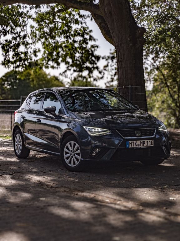 Image of Seat Ibiza