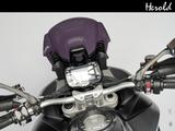 Ducati Multistrada 1260 - DUCATI MULTISTRADA 1260