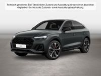 Audi SQ5 - Vorschau Bild 1