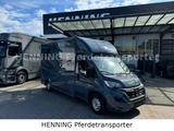 Opel Movano 3 - Sitzer *AUFBAU NEU* PFERDETRANSPORTER