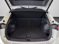 Volkswagen Tiguan - Vorschau Bild 16
