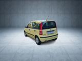 Fiat Panda 8V Active 1.1 - Fiat Panda Active mit Benzin-Antrieb