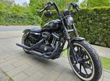 Harley-Davidson Sportster Iron 883 - Angebote entsprechen deinen Suchkriterien