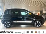 Fiat Panda Pandina Cross 1.0 Klima PDC DAB NSW - Fiat Panda Pandina mit Benzin-Antrieb