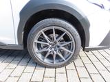 Subaru OUTBACK 2,5i Platinum Black Edition - Subaru mit Benzin-Antrieb: Allradantrieb