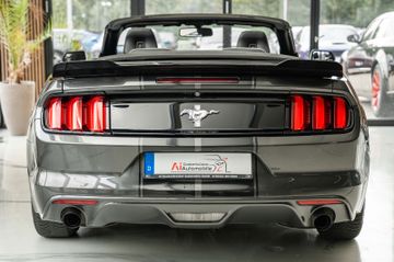 Ford Mustang - 7