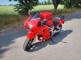 Suzuki SV 650s, 4cm Tieferlegung, TÜV neu - SUZUKI SPORTLER 650 SV