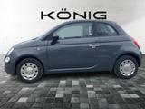 Fiat 500 CULT 70PS KLIMA & SOUND - Fiat 500 Cult mit Hybrid-Antrieb (Benzin/Elektro)