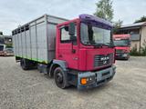 MAN 14.284 F2000 / Tüv 12/26 / Vieh Pferdeaufbau - MAN 2000 F