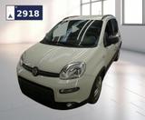 Fiat Panda 1.0 City Life Klima PDC - gebrauchte Fiat Panda aus dem Jahr 2021