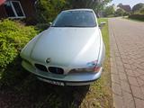BMW 525 TDS, 5-Gang Automatik, Klimaautoma... - BMW 525: Tds