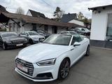 Audi A5 Cabriolet quattro sport - Audi A5 mit Benzin-Antrieb: Cabrio
