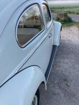 Volkswagen Käfer - Offers