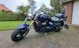 Suzuki Intruder M 800 - SUZUKI INTRUDER M800