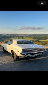 Dodge Challenger - Dodge Challenger in Dresden