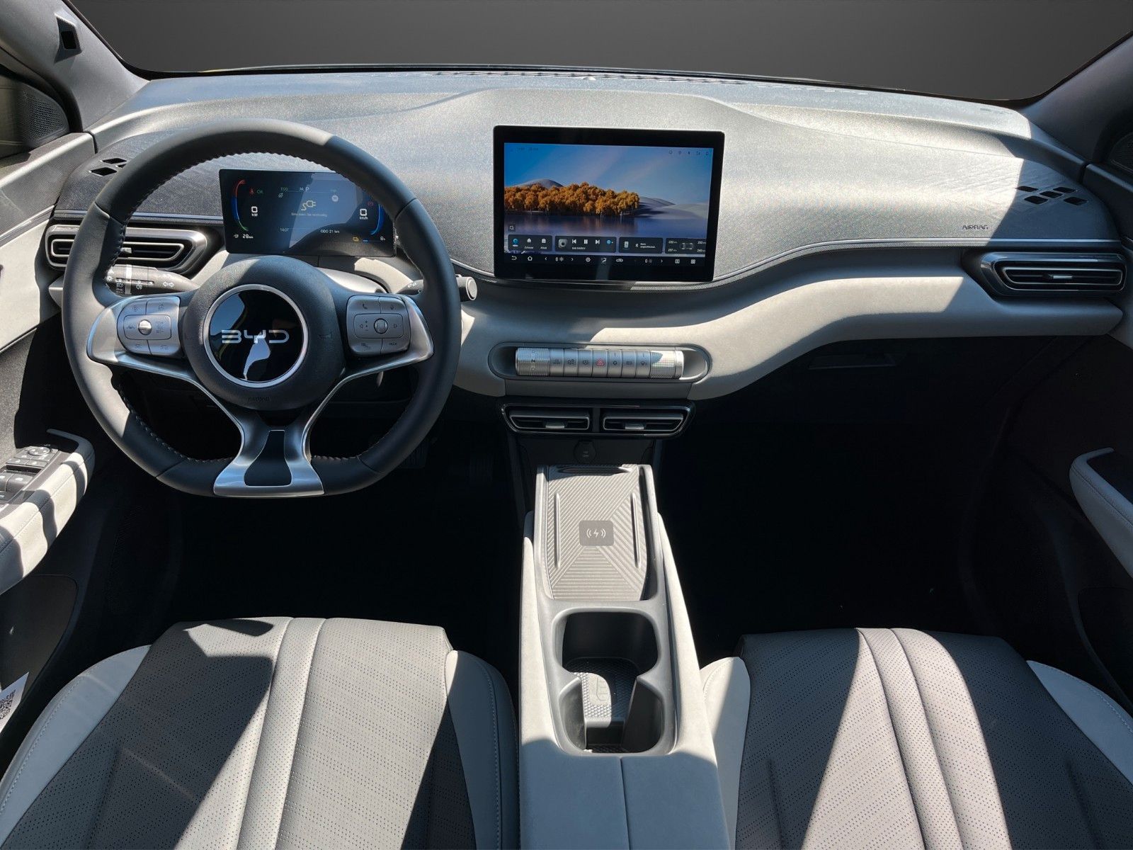BYD DOLPHIN SURF