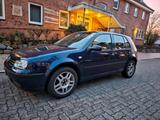 Volkswagen VW Golf 4 1.6 "CHAMP" BC/Allwetter Reifen ... - Volkswagen Golf: Champ