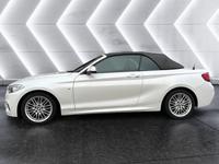 BMW 218i Cabriolet M Sportpaket Xenon Navi Bus. USB